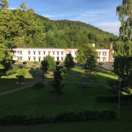 Apartmán Staré časy Svoboda nad Úpou Kültér fotó